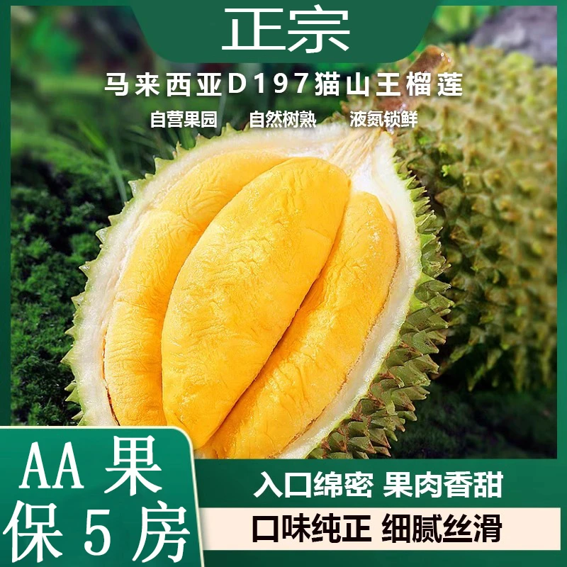 【帝小二甄选保5房】马来西亚猫山王D197榴莲液氮冷冻3-7斤绵密丝滑