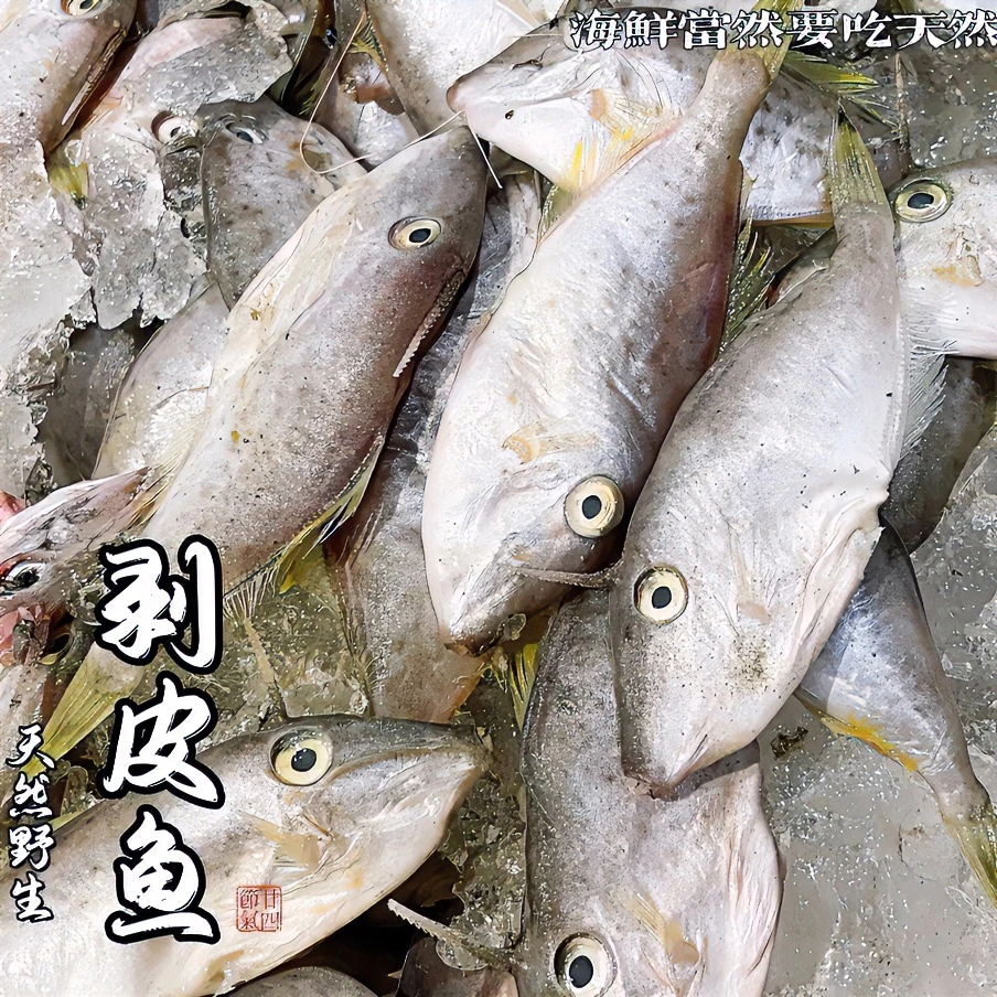 广东省汕尾本港野生海捕剥皮鱼冷冻食顺丰京东冷链发货食用马面鱼