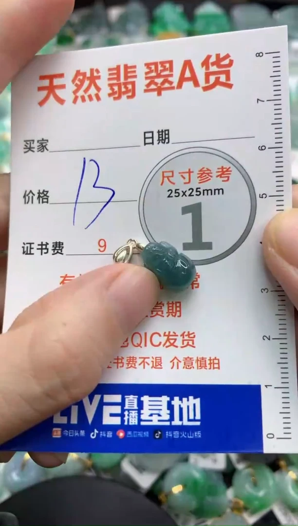 【闪购商品】翡翠颈饰未镶嵌18