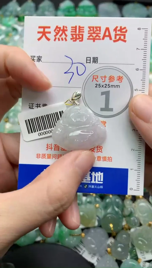 【闪购商品】翡翠颈饰银S925镶嵌36