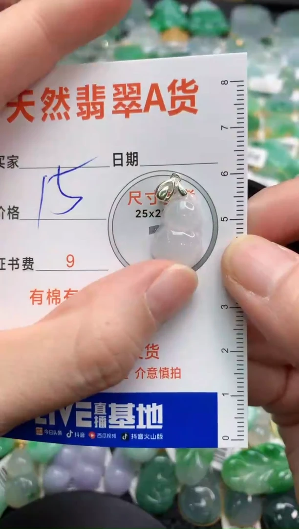 【闪购商品】翡翠颈饰银S925镶嵌23