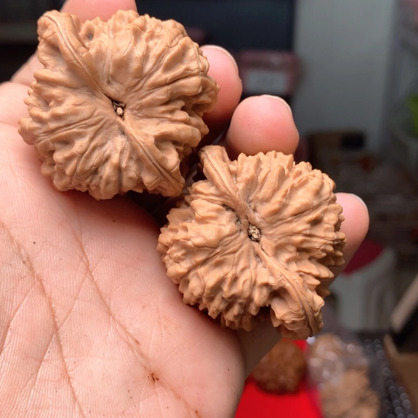 【闪购商品】文玩核桃把件赵*飞