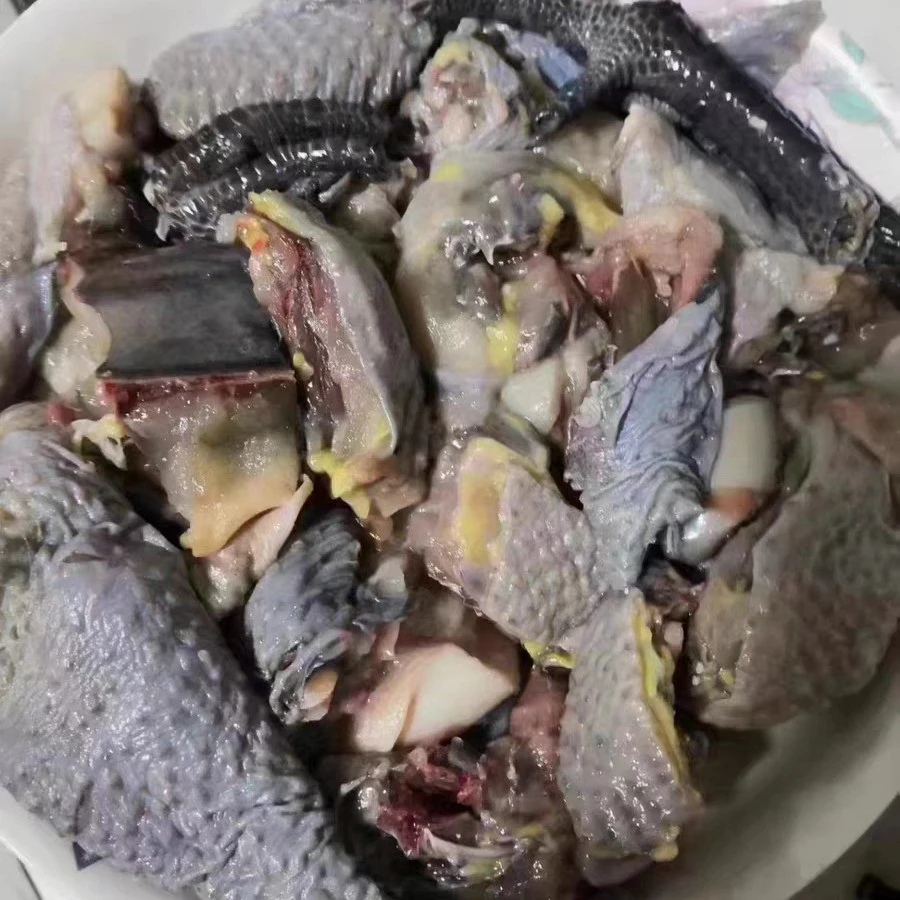 天落鸟初级农产品鲜杀乌黑母鸡快下蛋的乌黑母鸡3只包邮