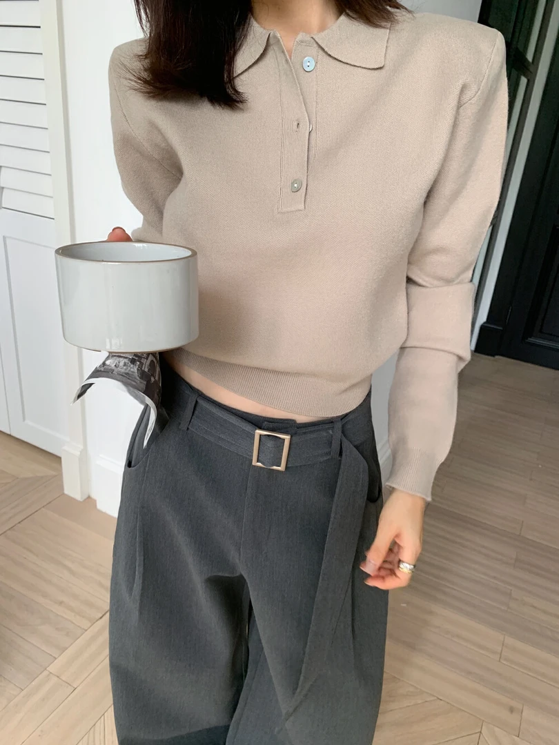 韩系纯色polo针织衫 0358#
