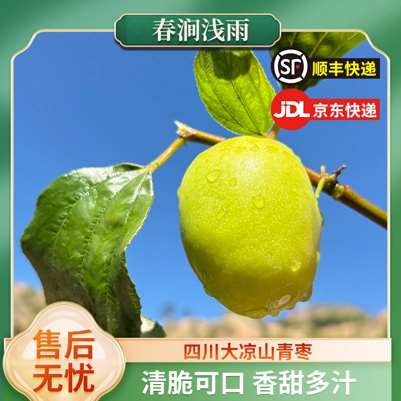 【春涧浅雨】四川大凉山青枣3斤25-30个