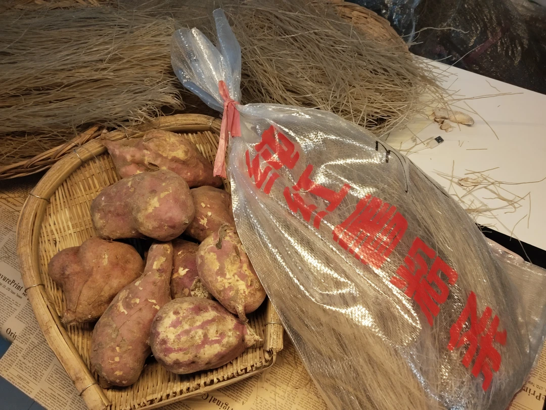 瑞当家纯红薯粉条3斤装-保真保纯农家自产自销地道天然