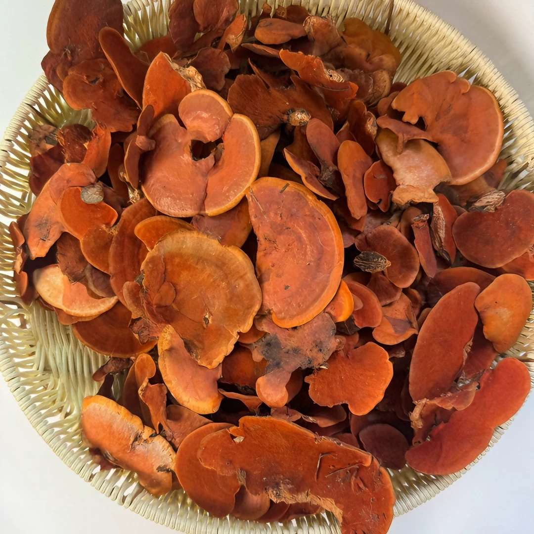山货血红栓菌今年新鲜货250克起牛樟树上生长的菌芝可煮水食用
