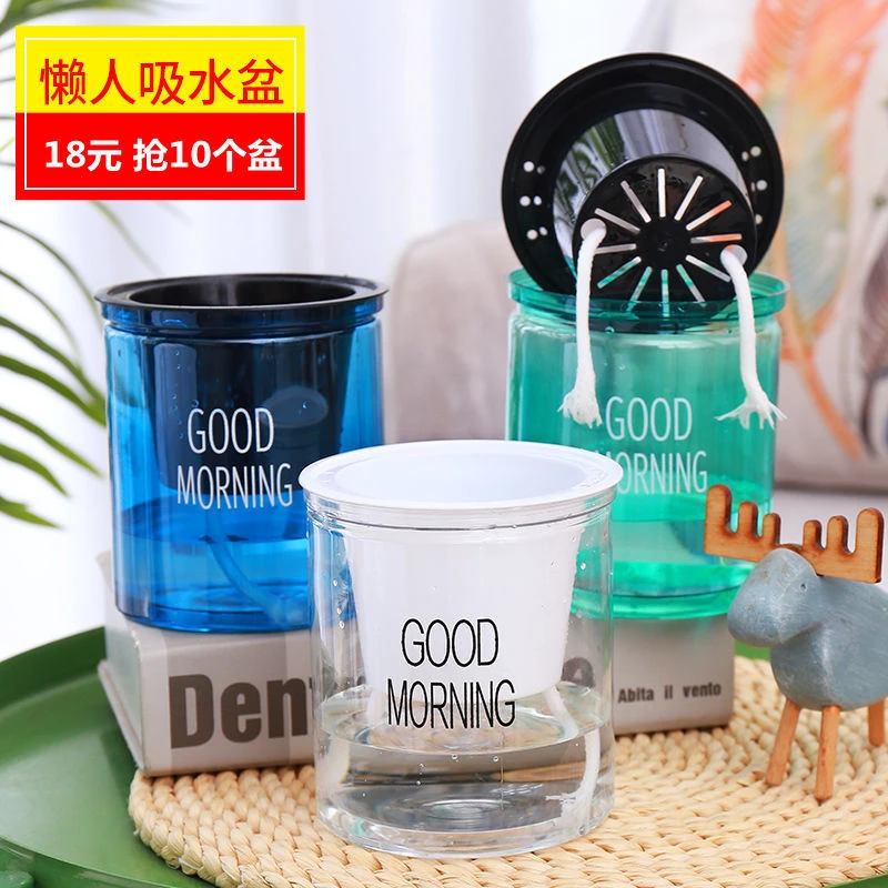 水培花盆塑料自吸水懒人盆透明阳台家用吸水盆自动吸水懒人早安盆