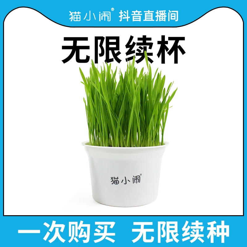 猫小闹猫草猫咪化毛天然化毛膏去毛球