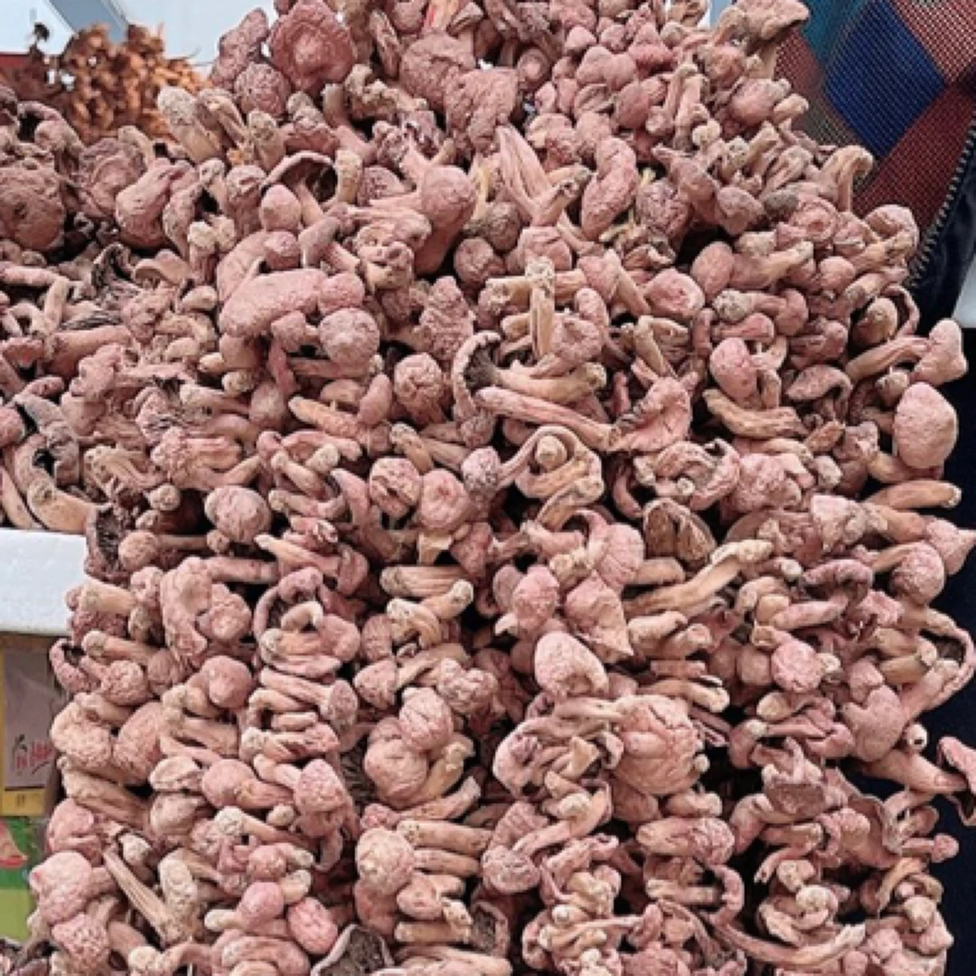 红蘑 松树伞 肉蘑自然晒干精选干货