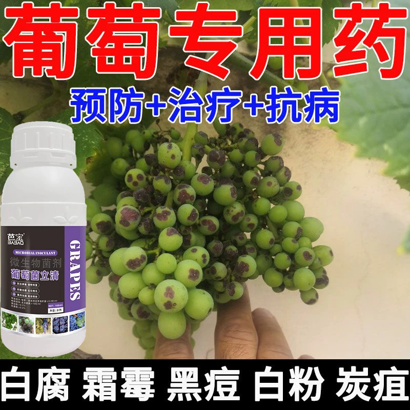 菌剂微生物菌剂黄叶微生物菌剂肥料葡萄专用微生物杀菌剂