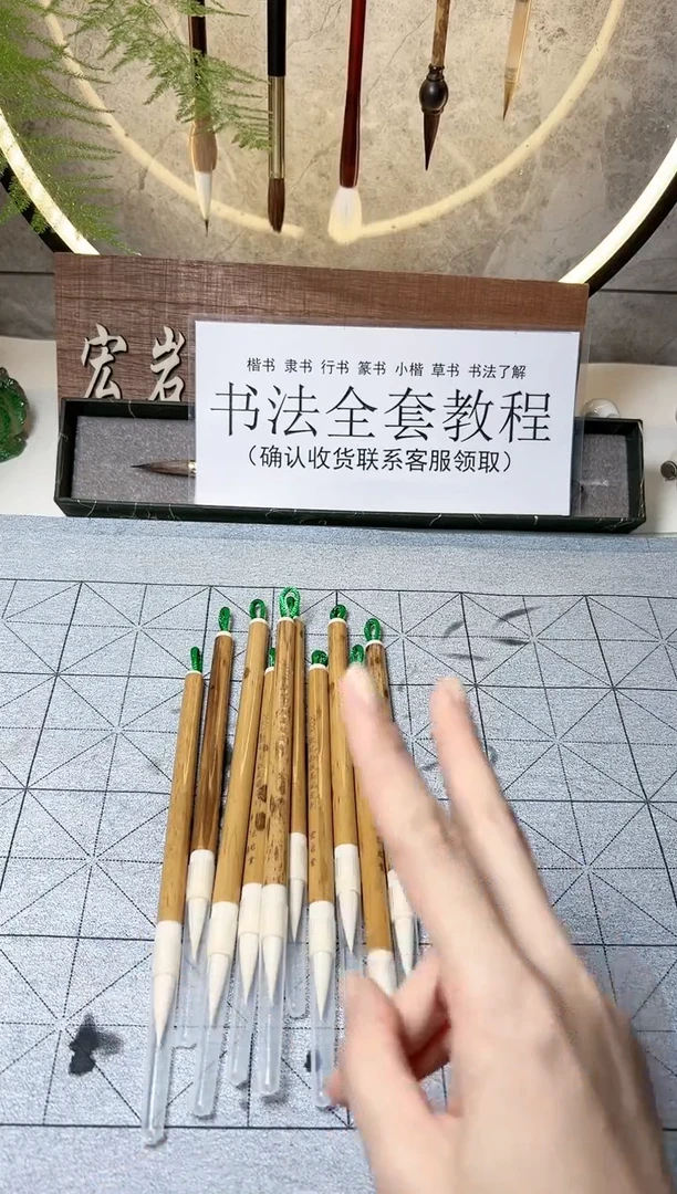 【闪购商品】书法H833两支