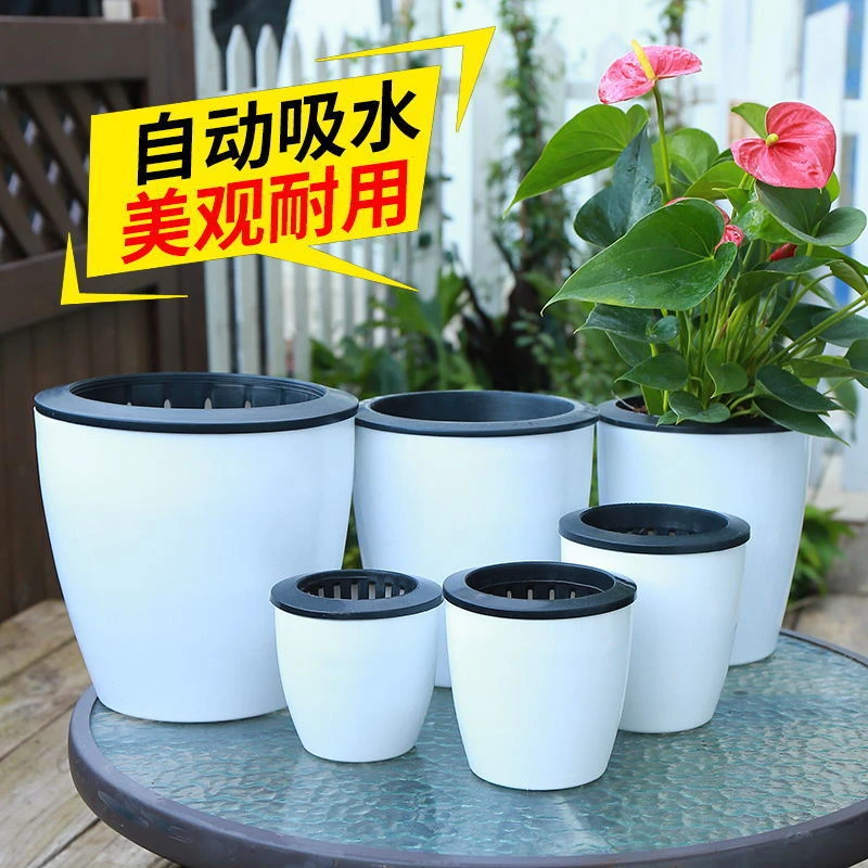 懒人花盆自动吸水塑料花盆桌面植物水养盆阳台绿萝吊兰盆栽水培盆