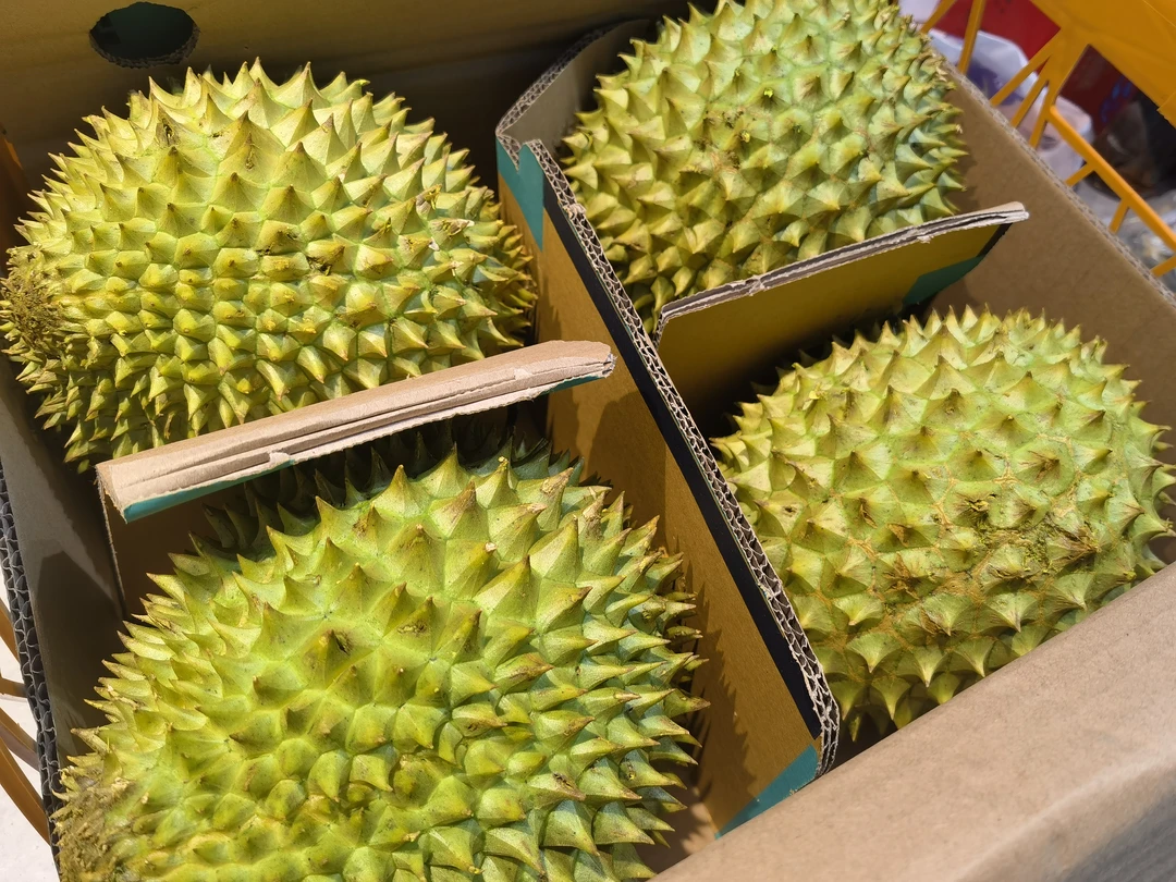 越南干扰榴莲(一口秒杀价,联系主播,后台改价)