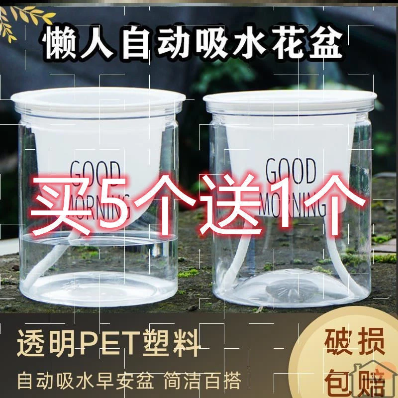 水培透明早安盆家用客厅花架子小花盆塑料自吸水懒人盆绿萝发财树