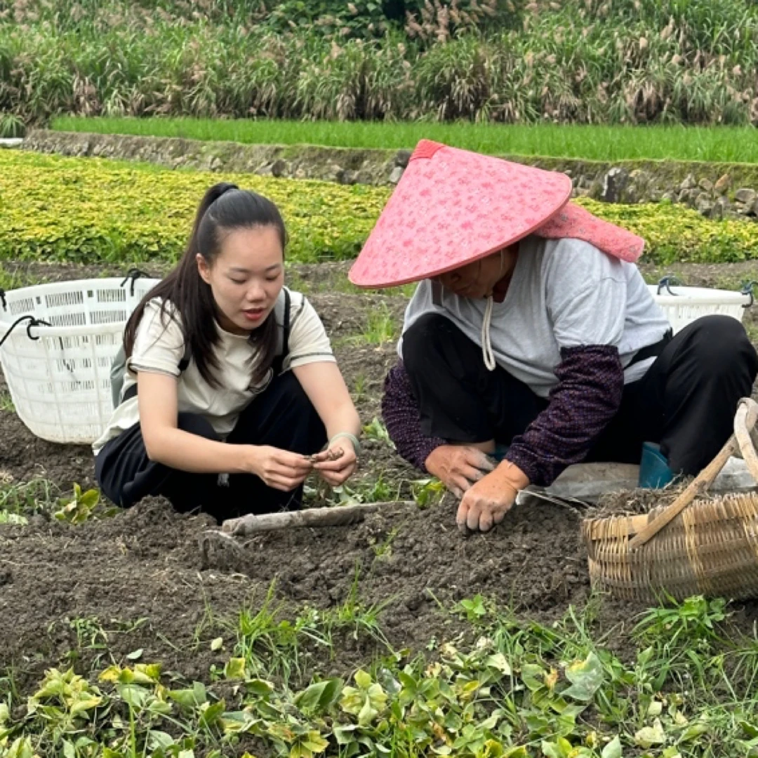 善小舟溯源 宁德柘荣 泡水煮汤 孩儿参
