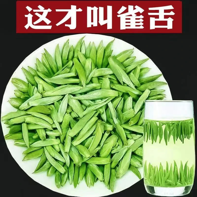 正宗贵州特级雀舌2025新茶毛尖明前翠芽绿茶高山嫩芽春茶云雾茶叶