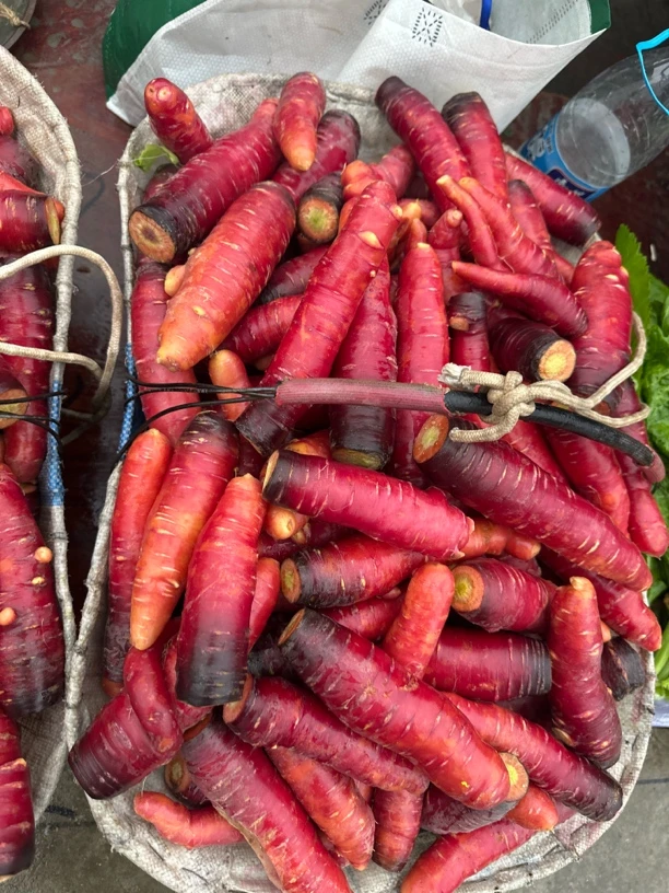 贵州露天种植老品种本地胡萝卜小时候味道