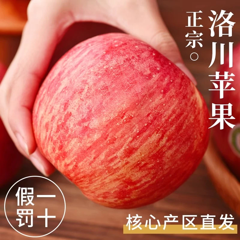 正宗洛川苹果红富士手工现摘精品产地直发自然脆甜多汁新鲜水果甜