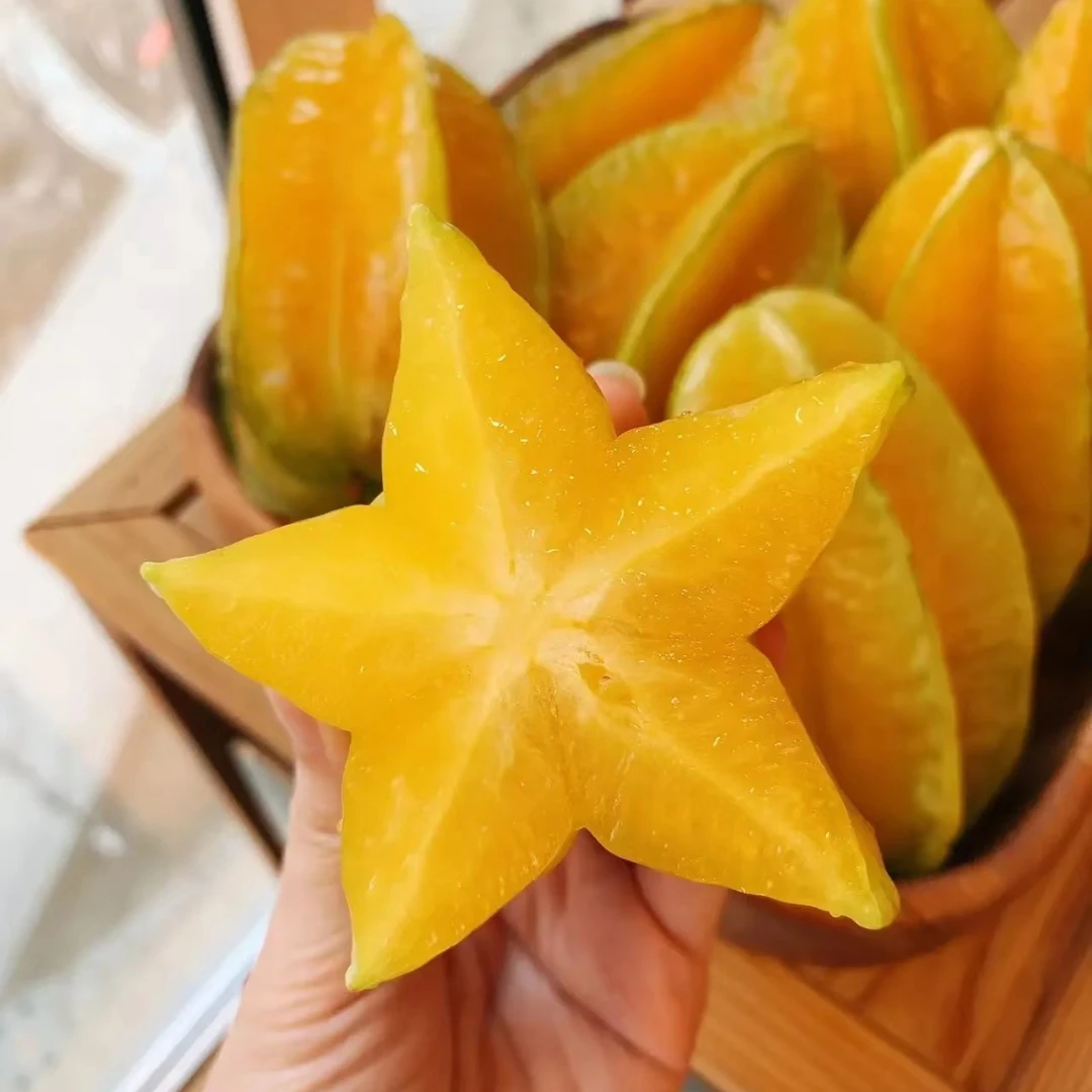 【昕泓晟】福建漳州树上熟杨桃5斤装 清甜可口不酸不涩 顺丰包邮