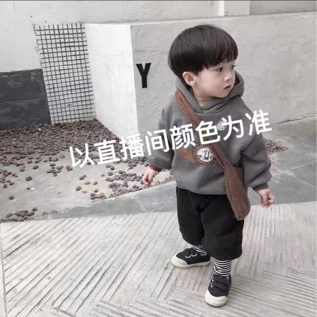 hszb756 冬款一体绒韩系百搭小狮子连帽卫衣