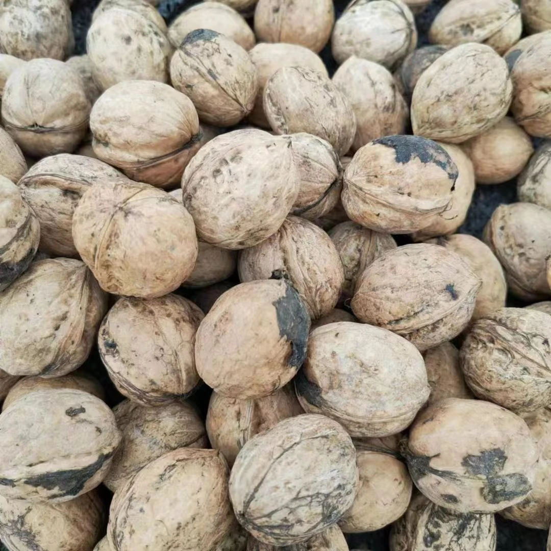 新疆185纸皮核桃原汁原味丑核桃不漂洗2斤 【大果】包邮