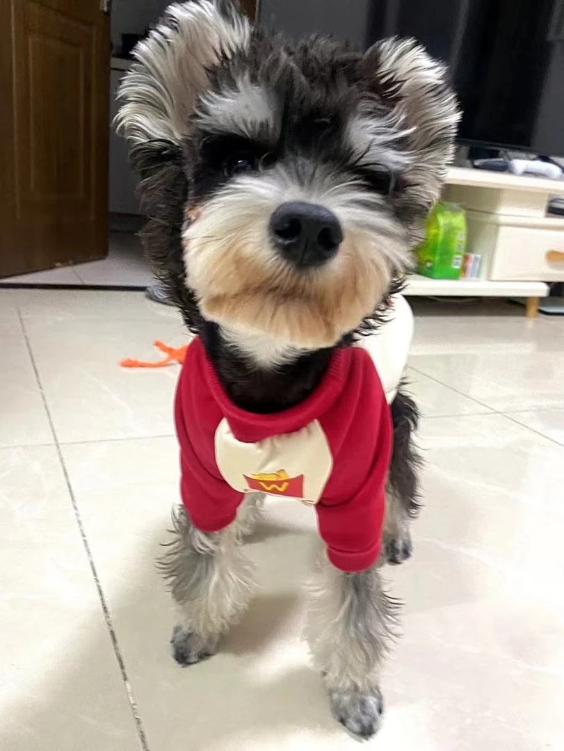 新年喜庆红冬季猫咪狗狗衣服宠物衣服潮牌插色加绒加厚抗起球卫衣