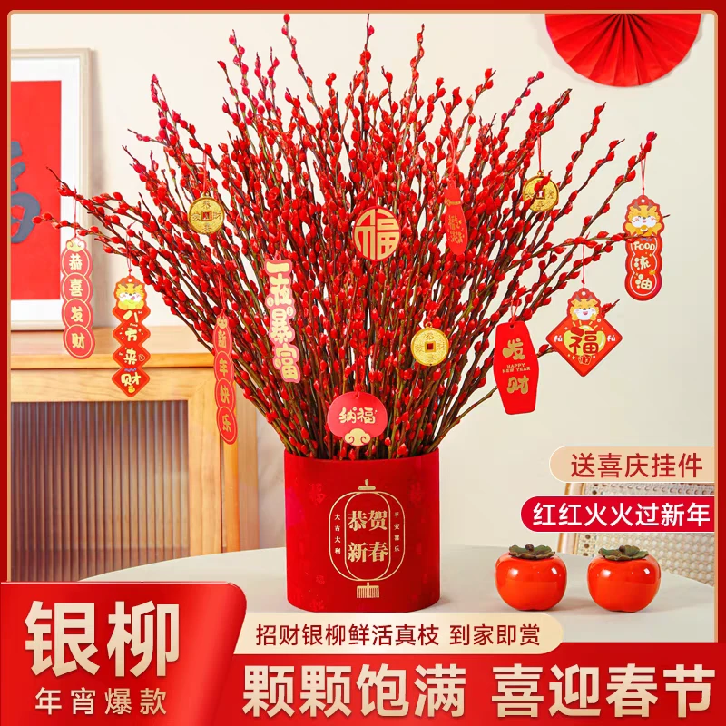 银柳真花鲜枝客厅干花摆件红色年宵花卉水培植物室内干枝红柳