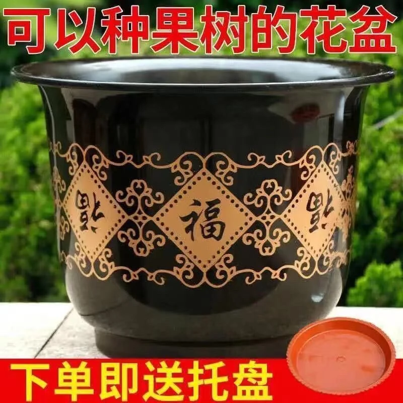 送托盘加大颜色塑料盆草莓绿植庭院盆多肉仿陶瓷盆果树大塑料花盆