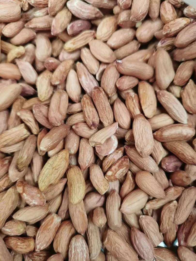 威海荣成特产优质瘪花生米