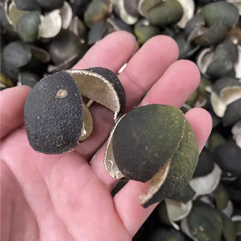 【断皮福利】【七月头采四花青】2024年新会东甲圈枝陈皮青皮