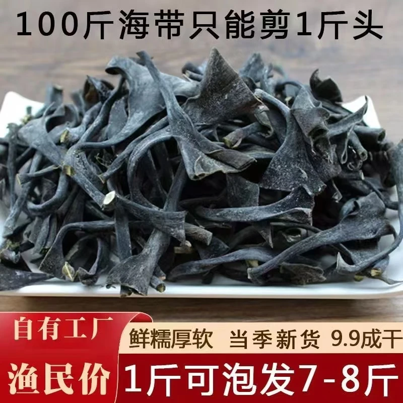 【霞浦海带头干货】海带头日晒海带干货干炖汤凉拌食材商用50g/件