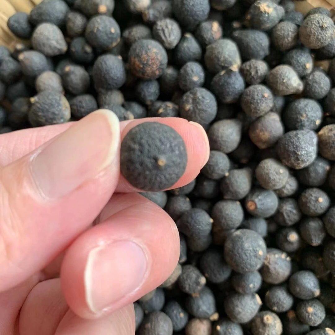 【柑胎!清香】2019年新会天马圈枝小柑胎