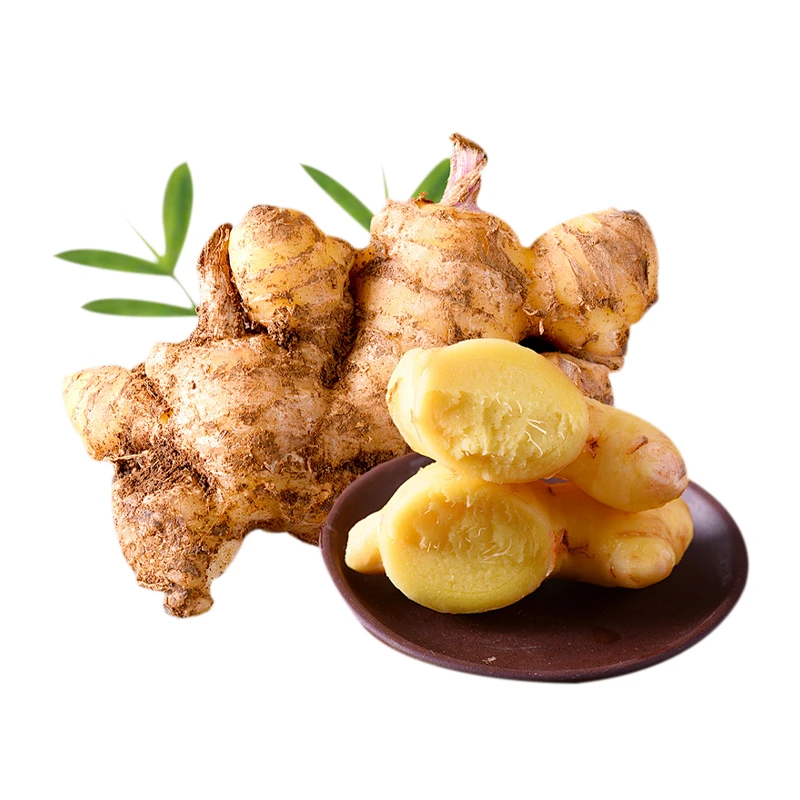 原野小猪精选泥姜（500g±50g）