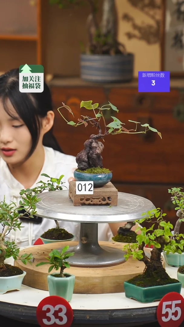 【闪购商品】12何首乌一物一拍