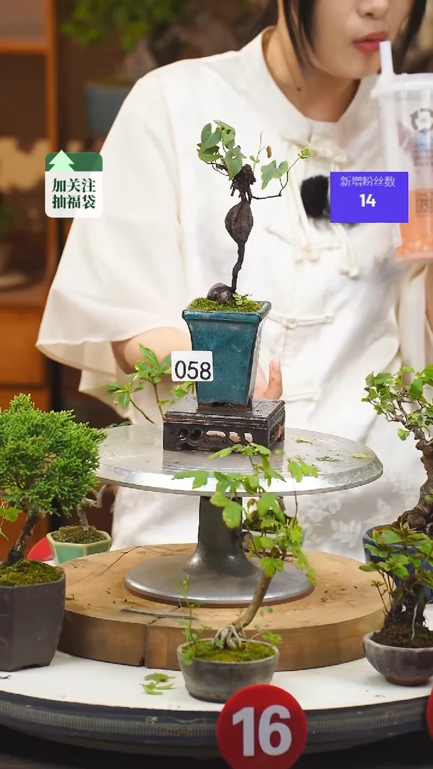 【闪购商品】58何首乌一物一拍