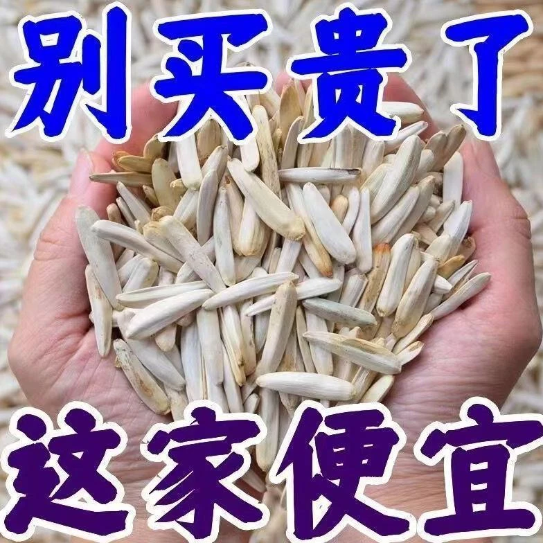 【真便宜】新疆牙签瓜子 马牙瓜子 500g 干炒原味 葵花籽 阿克苏