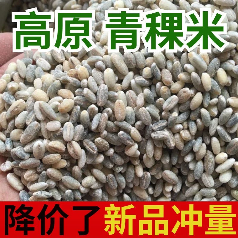 蓝青稞米高品质蓝青稞新米高原青稞米青稞麦五谷杂粮饭天然饱满
