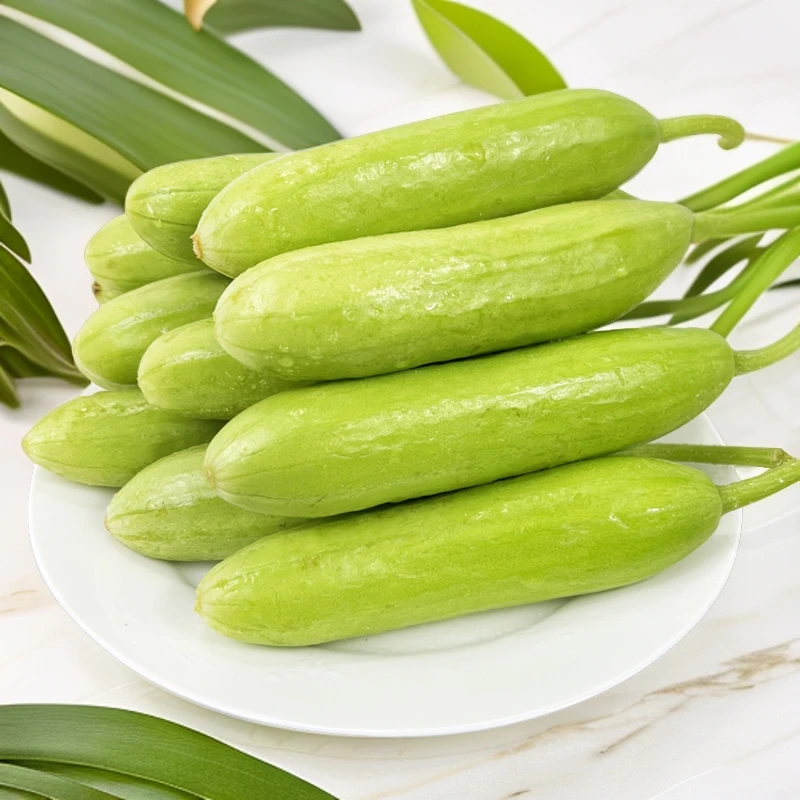 新鲜山东奶油黄瓜清香脆嫩白玉小黄瓜生吃小青瓜现摘果蔬新鲜水果