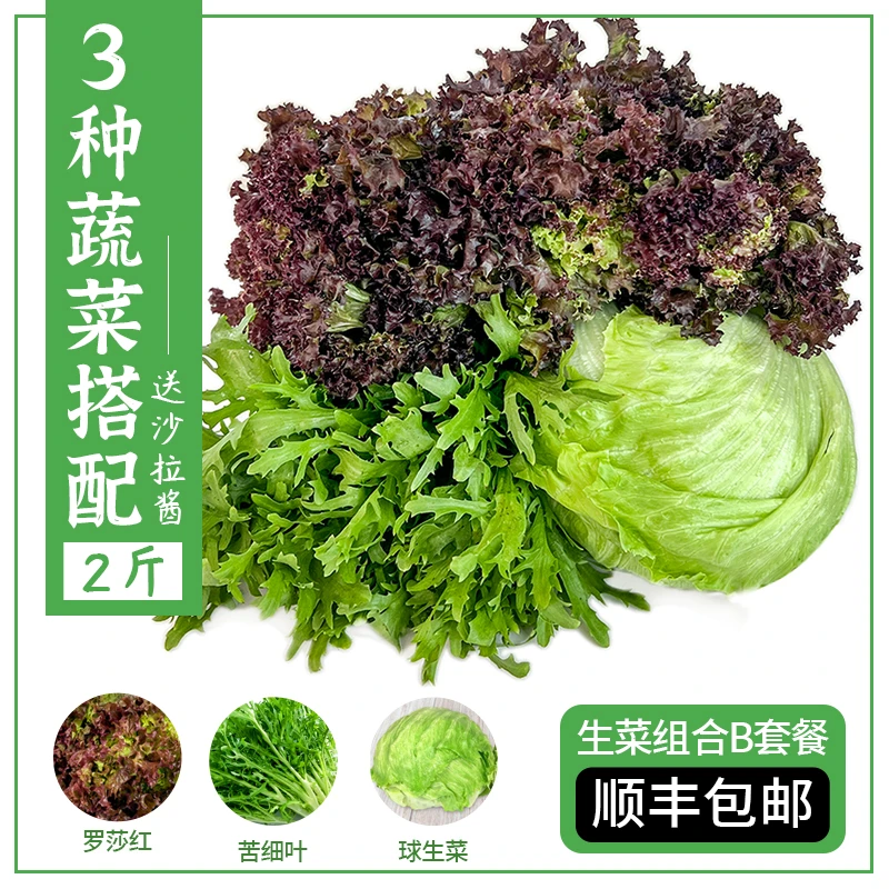 沙拉生菜组合3种蔬菜2斤装西餐生吃沙拉材料混合轻食沙拉蔬菜食材