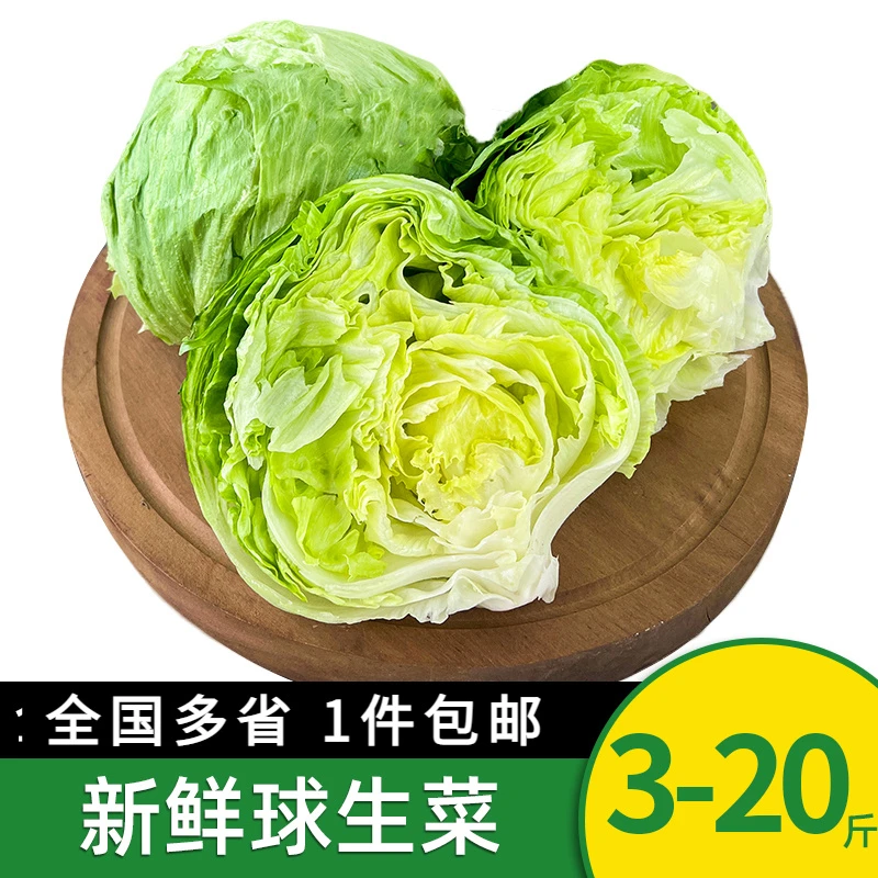 绿食者新鲜球生菜5斤 汉堡火锅用圆生菜西生菜 新鲜轻食沙拉菜