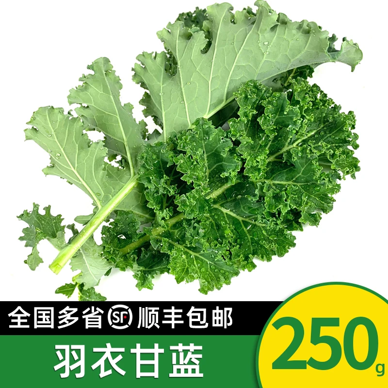 绿食者新鲜羽衣甘蓝250g 芥蓝叶牡丹kale健身榨汁西餐沙拉蔬菜