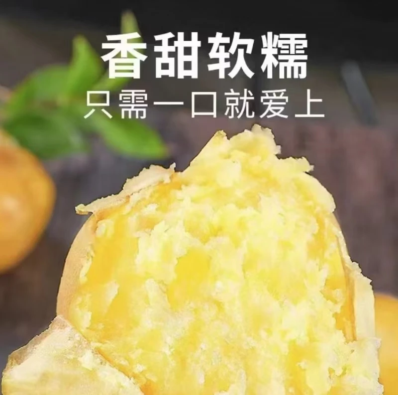 新土豆2024现挖黄皮土豆新鲜农家土豆应季整箱包邮发货