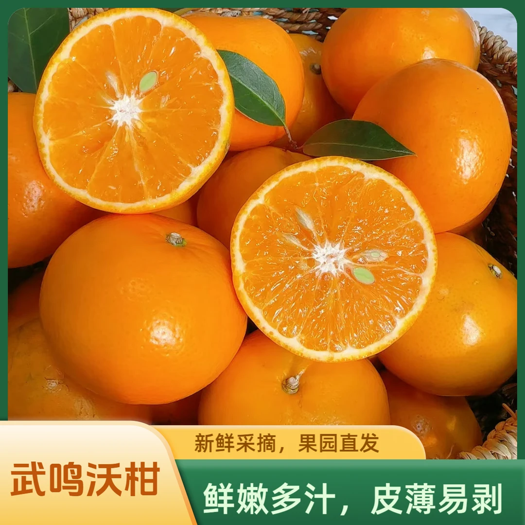 正宗广西武鸣沃柑鲜嫩多汁果肉新鲜水果柑橘果园直发坏过包赔包邮