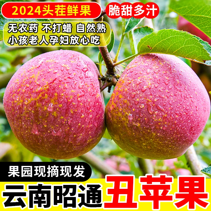 云南昭通冰糖心丑苹果新鲜水果冰糖心丑苹果脆甜现摘当季整箱包邮