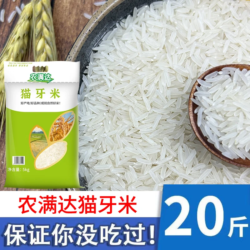 农满达【一级猫牙米】20斤晚稻新米猫牙米长粒香米煲仔饭籼米大米