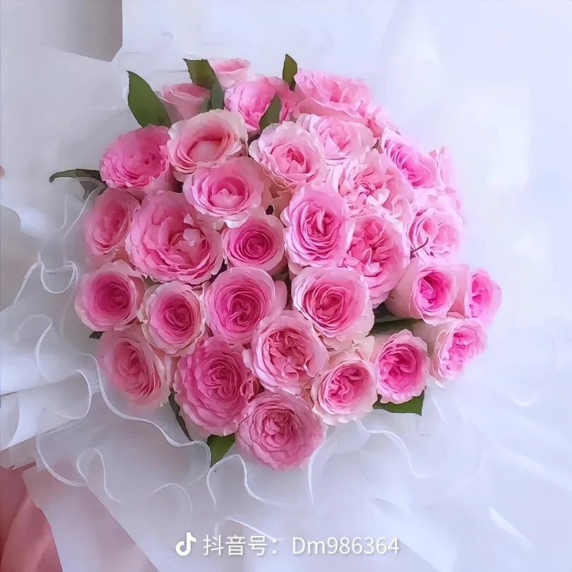 洛神单头玫瑰花束20枝2枝正常损耗视频