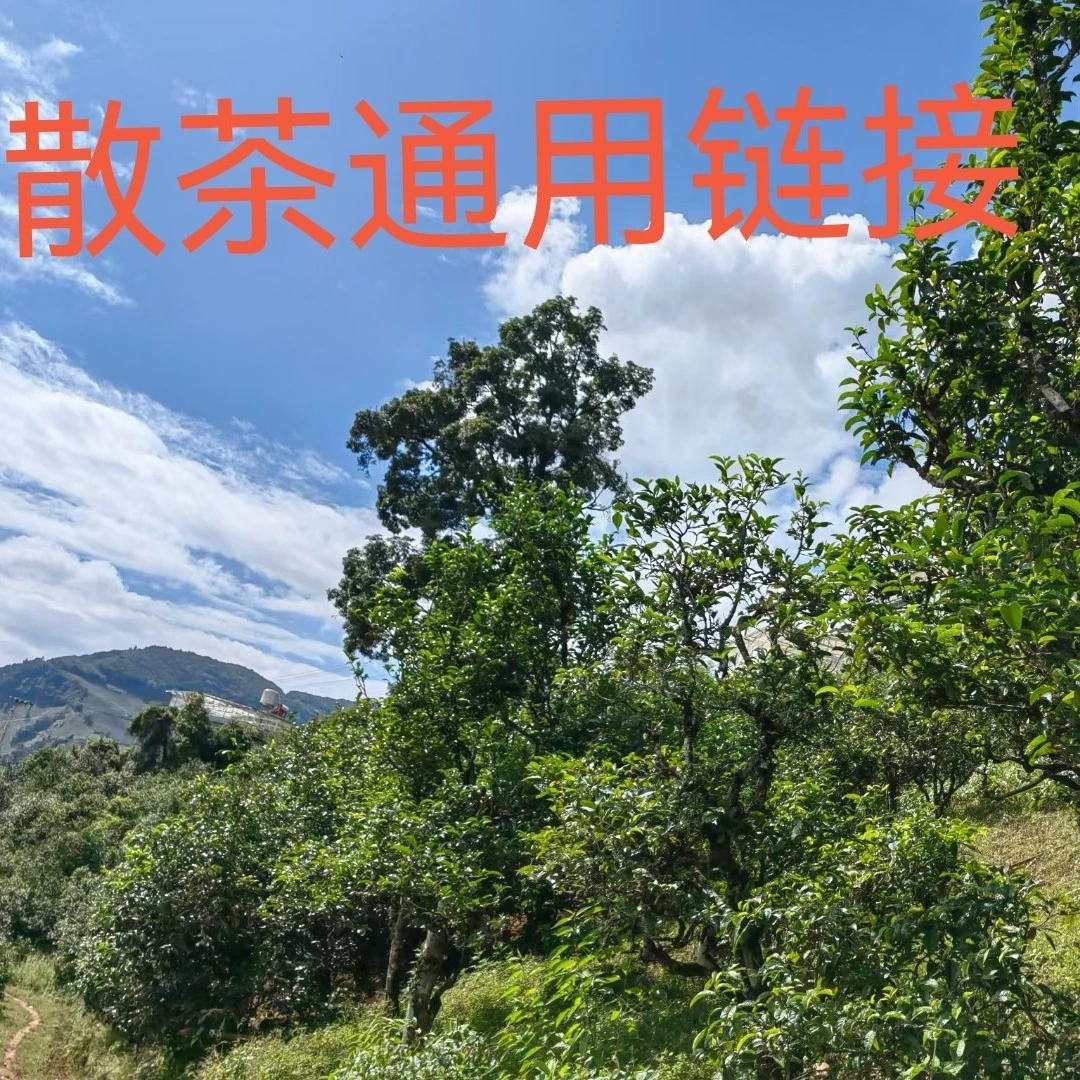 2024年 红茶龙珠30颗（福利）   红茶   通用