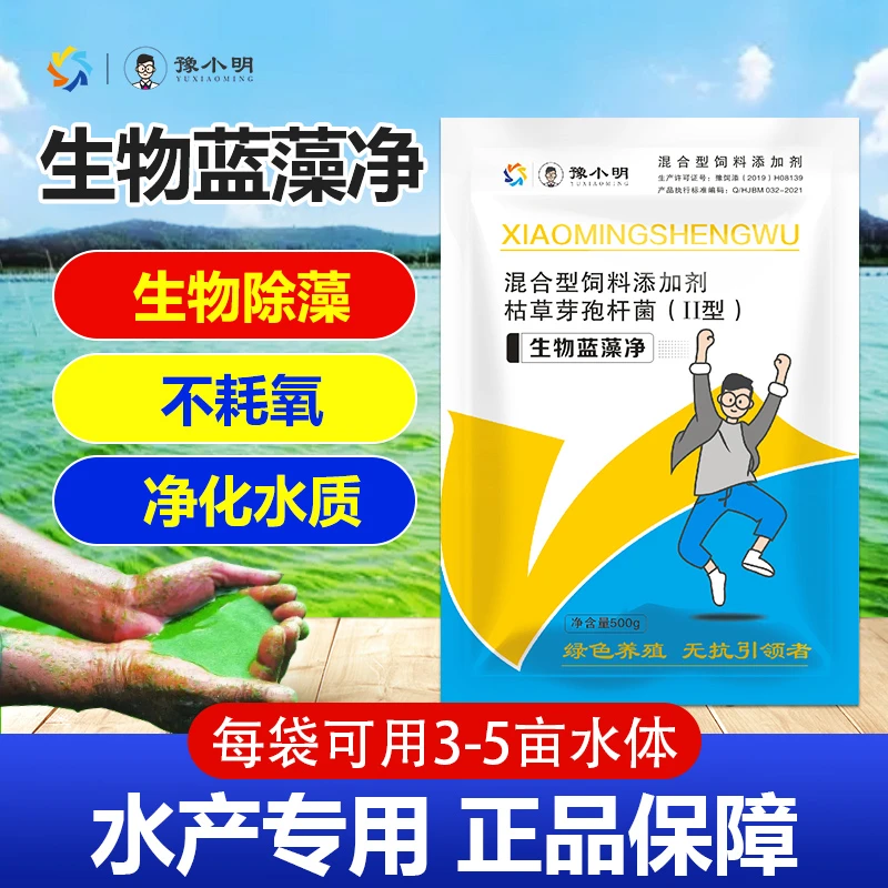 生物蓝藻净 生物除蓝藻不耗氧净化水质水产养殖除藻绿色稳定高效