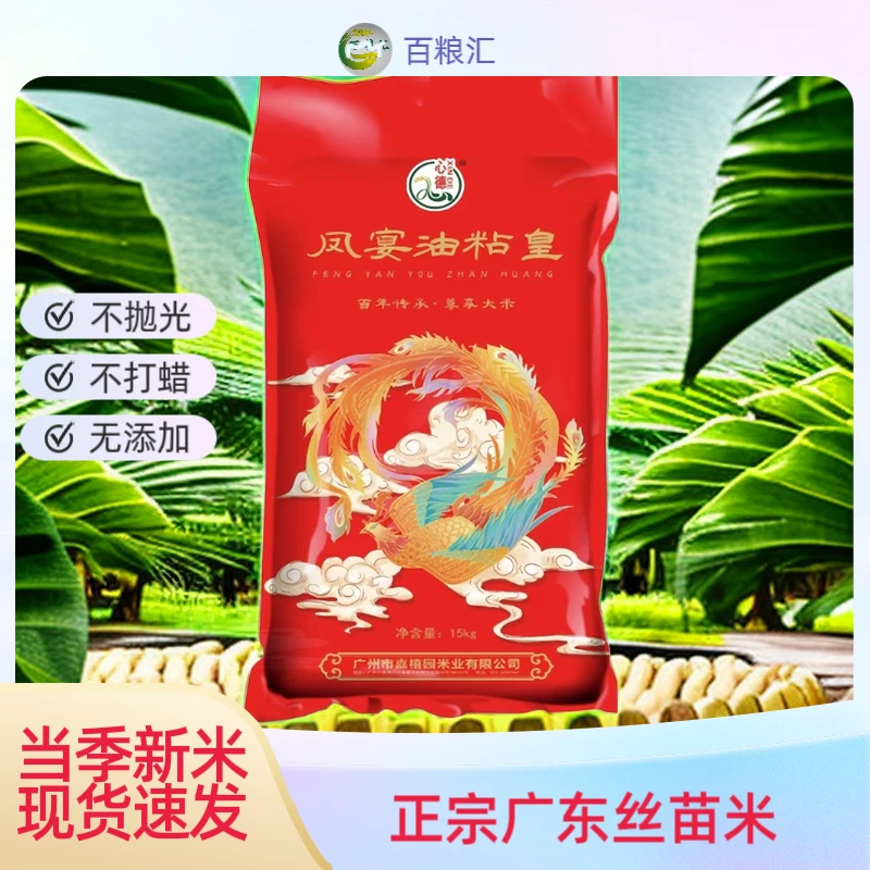 【心德】凤宴油粘米广东大米丝苗米猫牙米当季新米软硬适中甘甜20